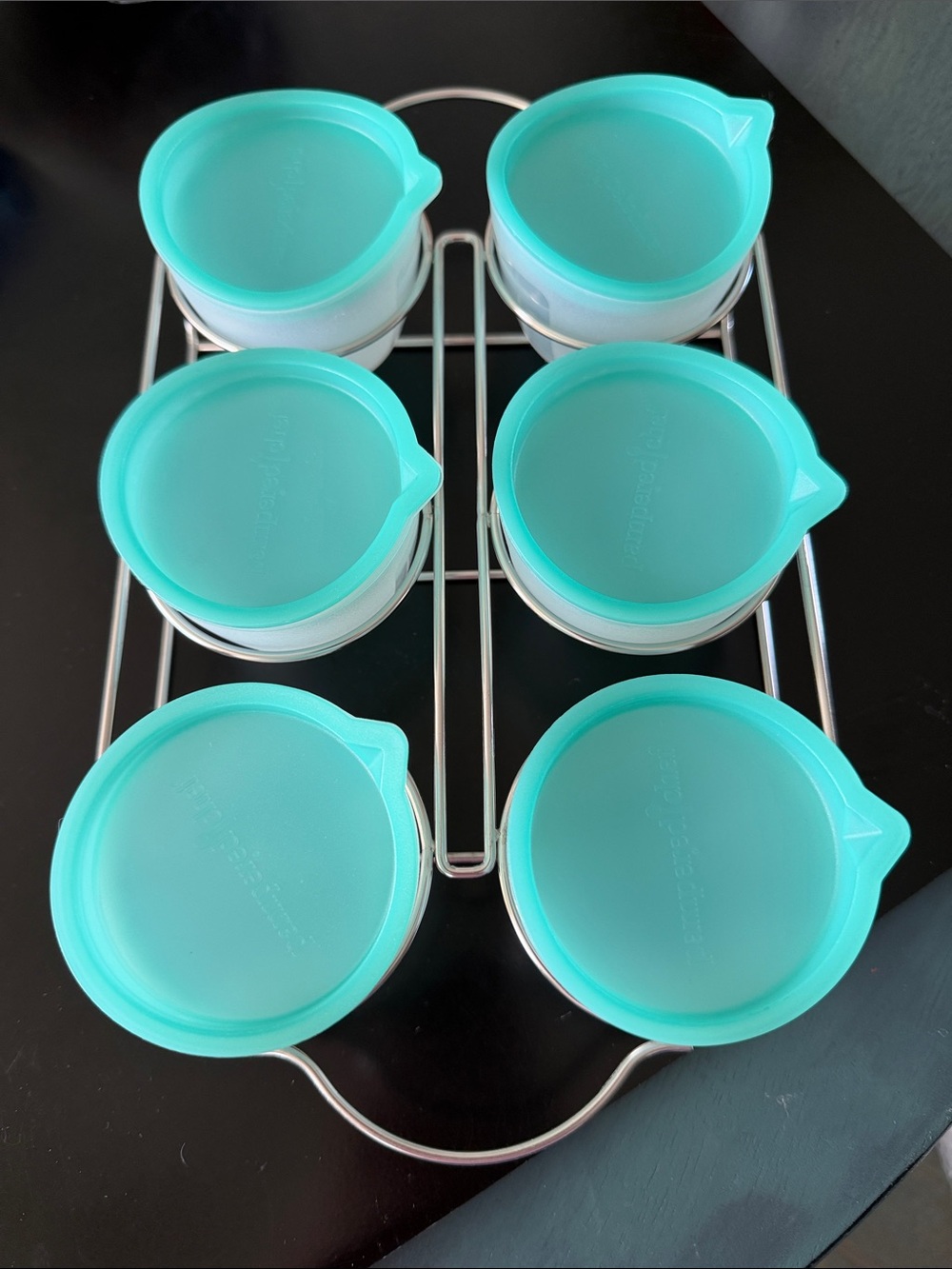 Pampered Chef Freezer Cups/Containers with Teal Lids And Rack - Set of 6